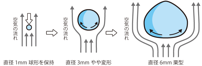 実際の雨粒の形状