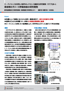 Ｅ－ディフェンスを活用した都市のレジリエンス高度化研究開発　サブプロB-1 構造物のダメージ評価技術の研究開発