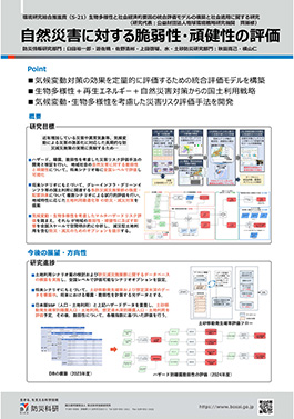 自然災害に対する脆弱性・頑健性の評価